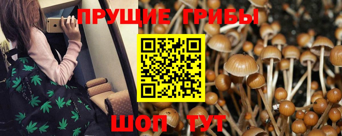Баксан  Галлюциногенные грибы Psilocybine cubensis  Галлюциногенные грибы GOLDEN TEACHER  Вход с VPN 